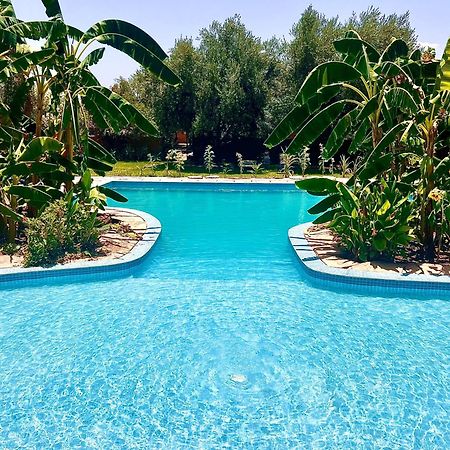 Bed and Breakfast Le Domaine De Carole Marrakech Douar Akkara Экстерьер фото