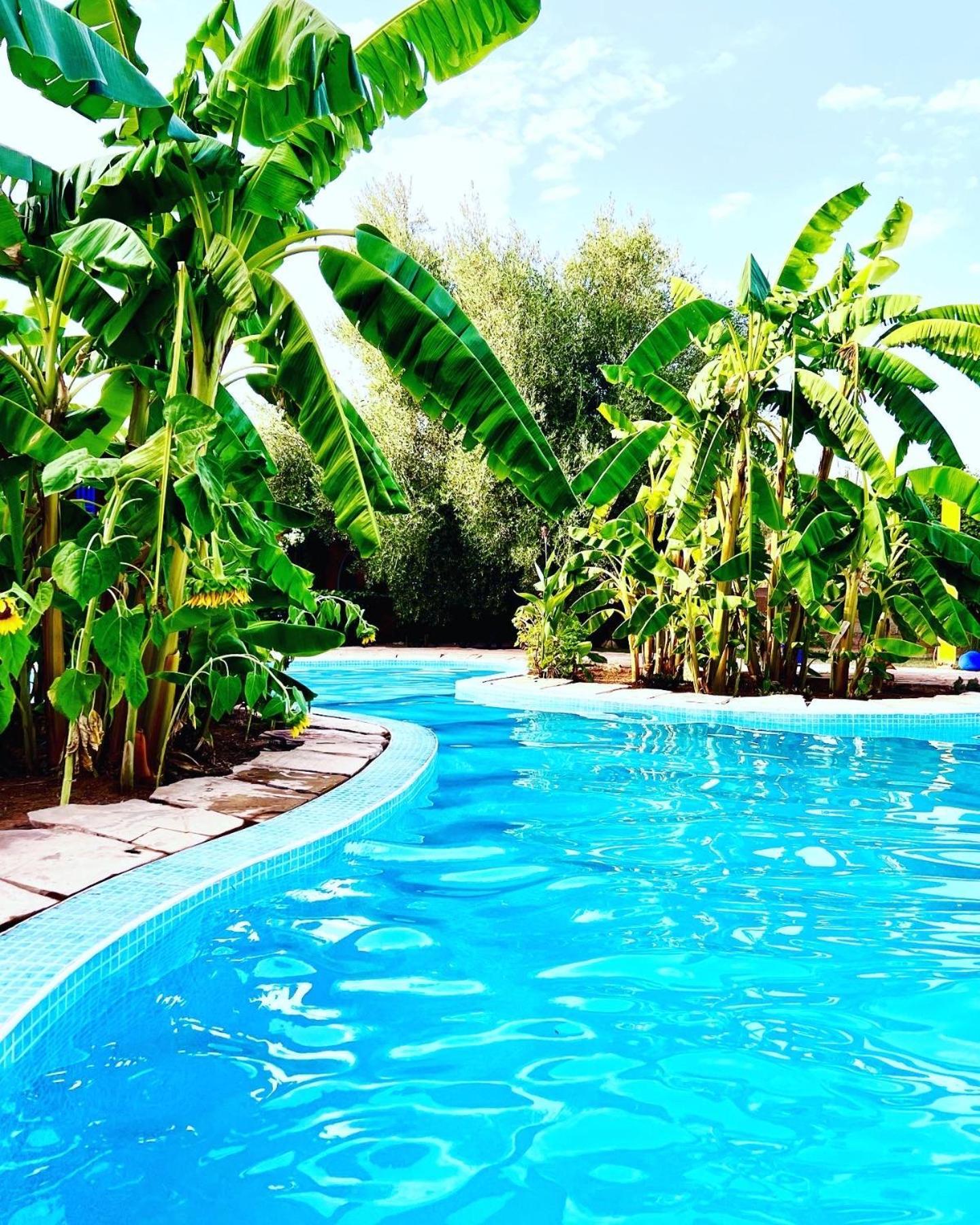 Bed and Breakfast Le Domaine De Carole Marrakech Douar Akkara Экстерьер фото