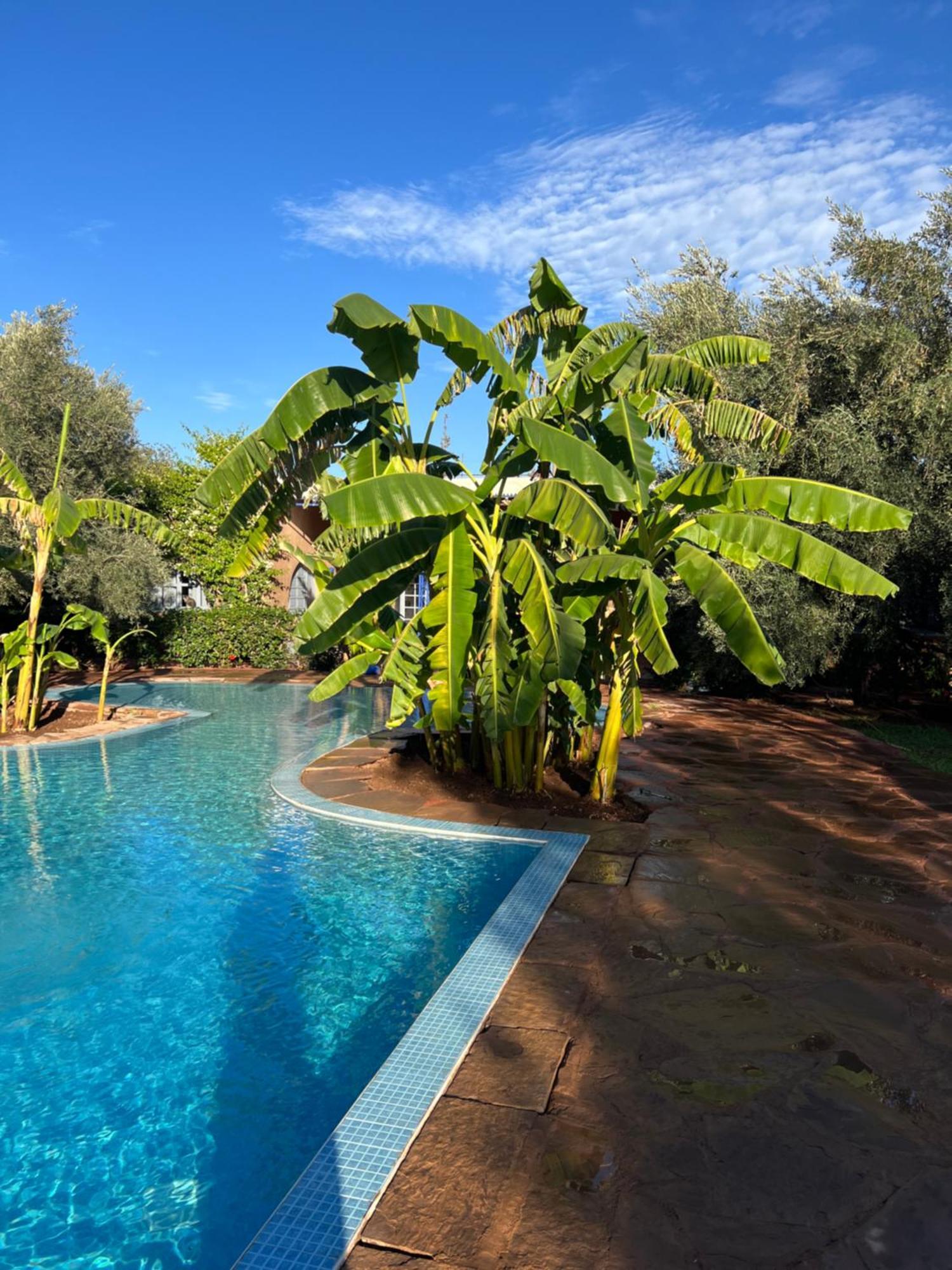 Bed and Breakfast Le Domaine De Carole Marrakech Douar Akkara Экстерьер фото