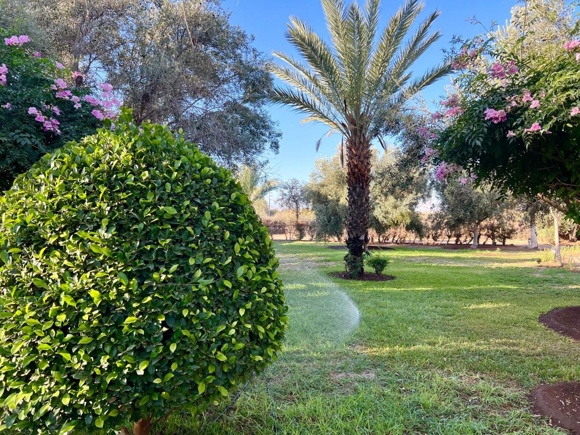 Bed and Breakfast Le Domaine De Carole Marrakech Douar Akkara Экстерьер фото