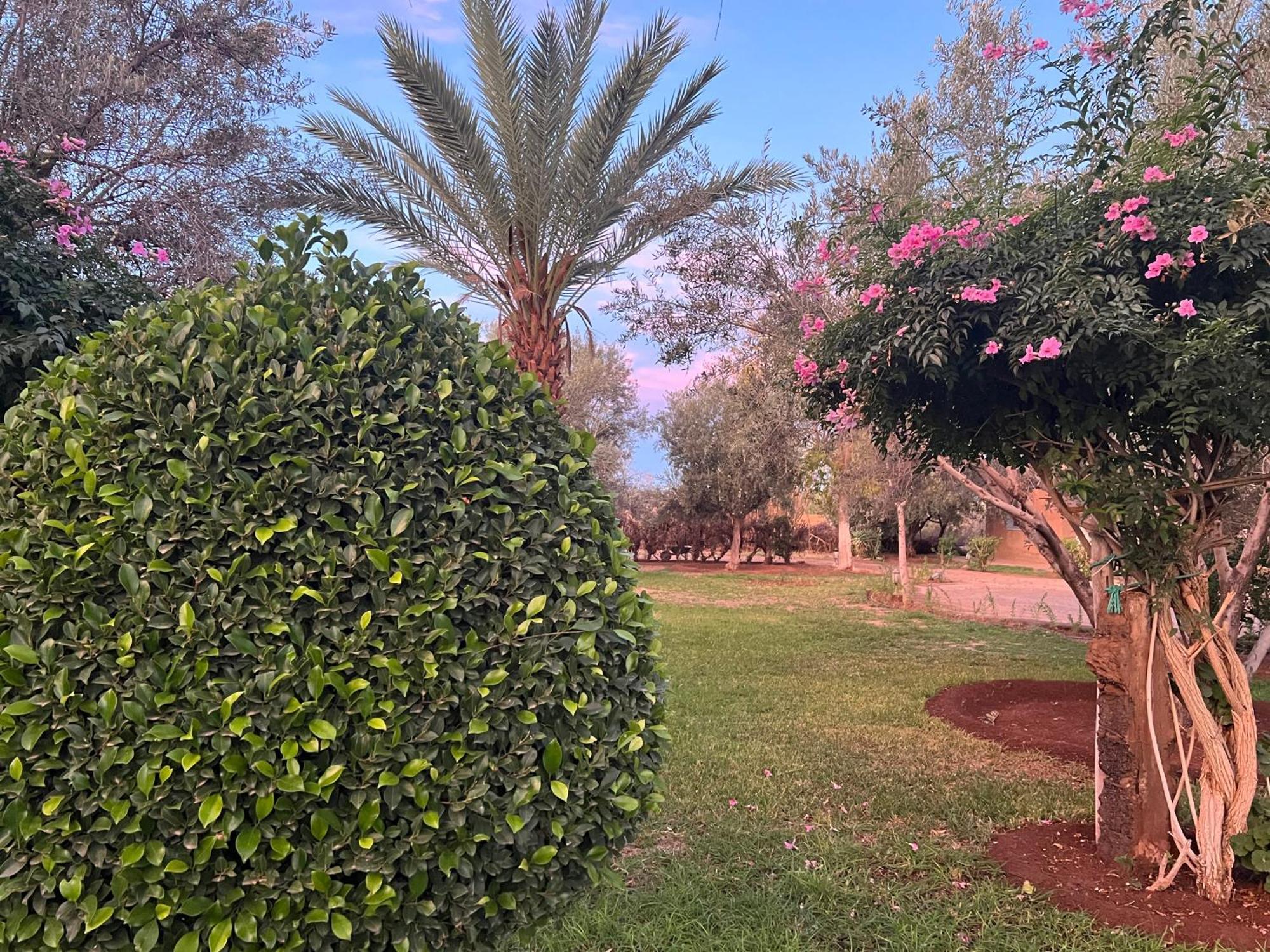 Bed and Breakfast Le Domaine De Carole Marrakech Douar Akkara Экстерьер фото