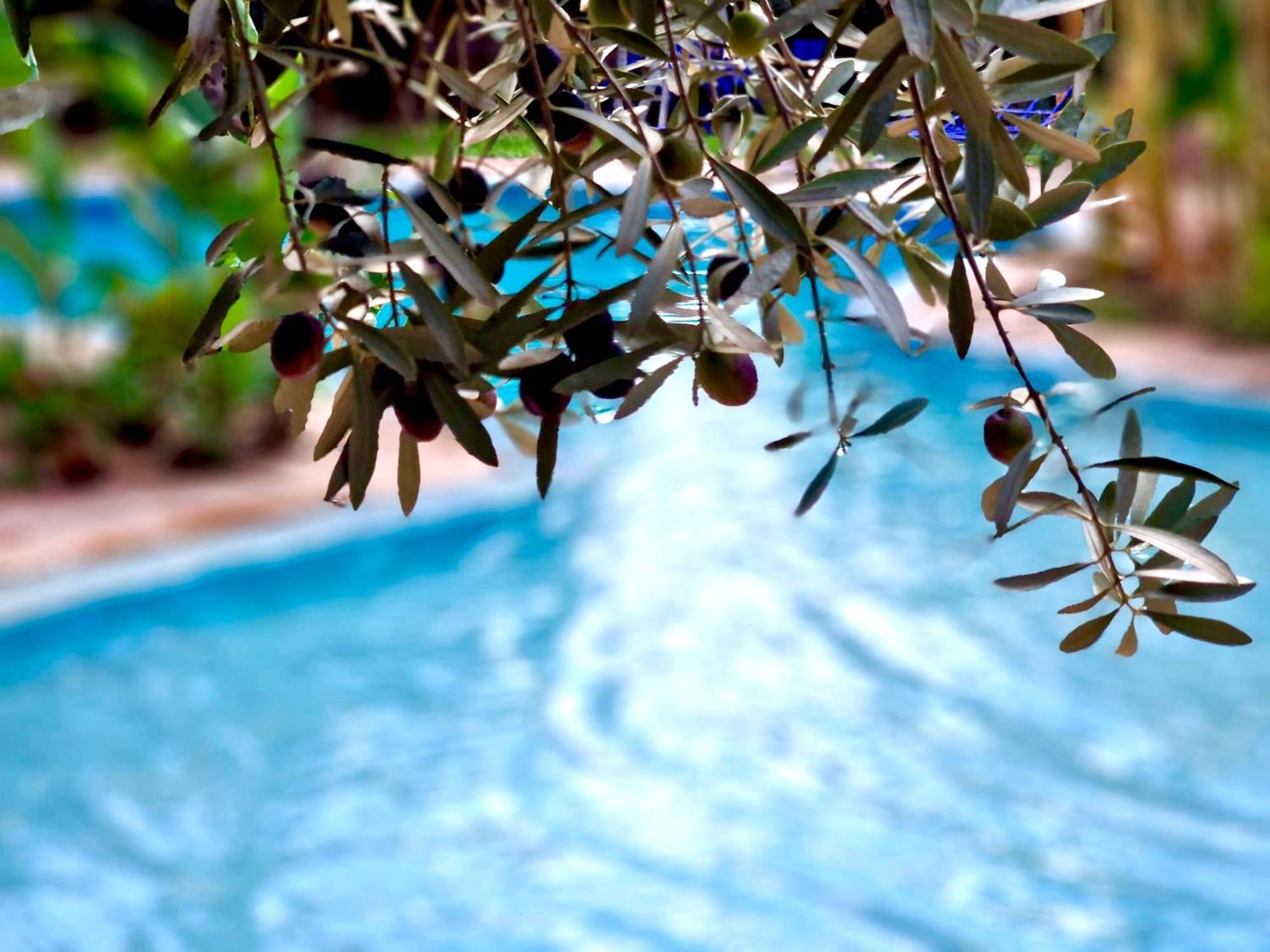 Bed and Breakfast Le Domaine De Carole Marrakech Douar Akkara Экстерьер фото