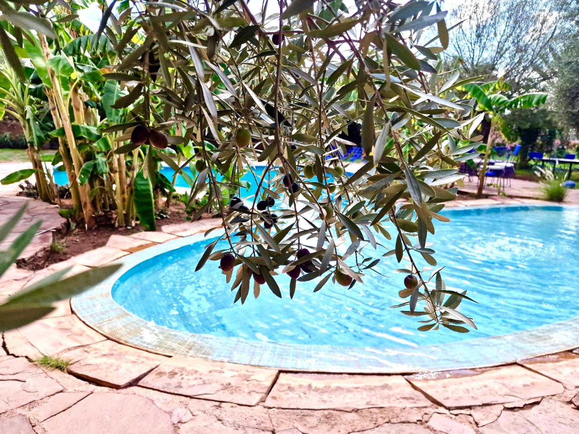 Bed and Breakfast Le Domaine De Carole Marrakech Douar Akkara Экстерьер фото
